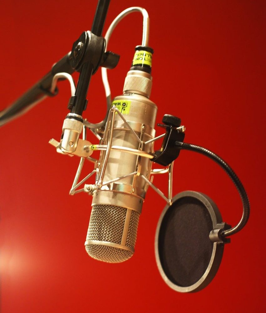 Averill Productions Red Room Condenser Mic